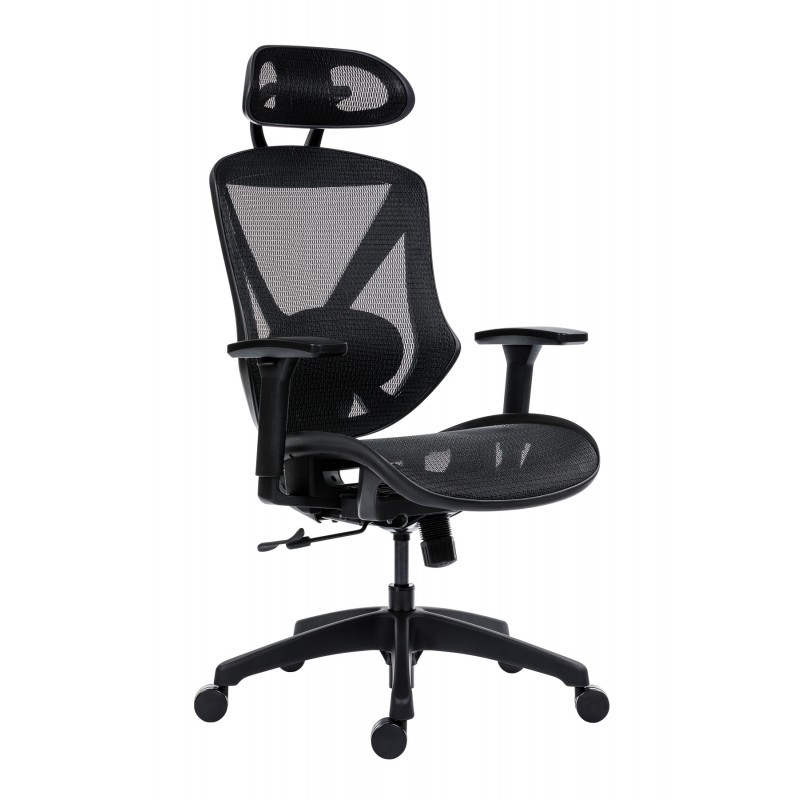 Scaun ergonomic rotativ Aero Pro mesh